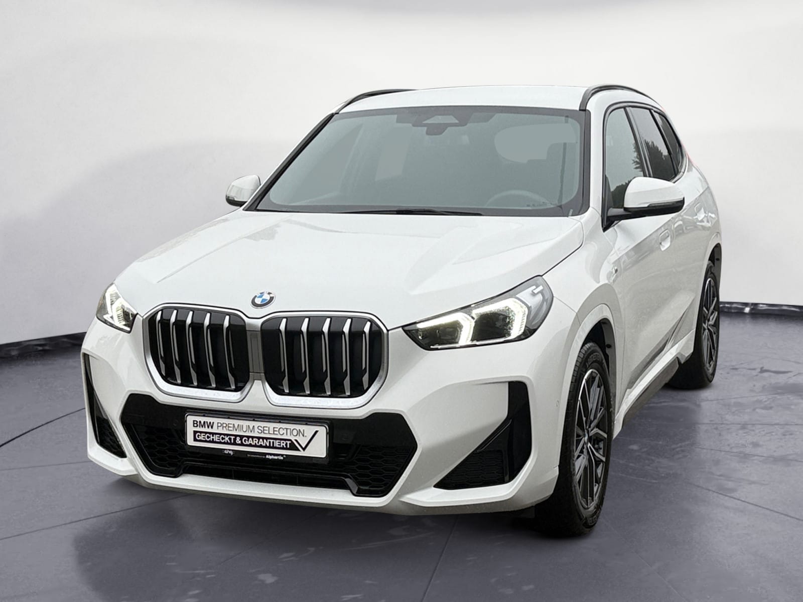 BMW - X1 sDrive20i M Sport