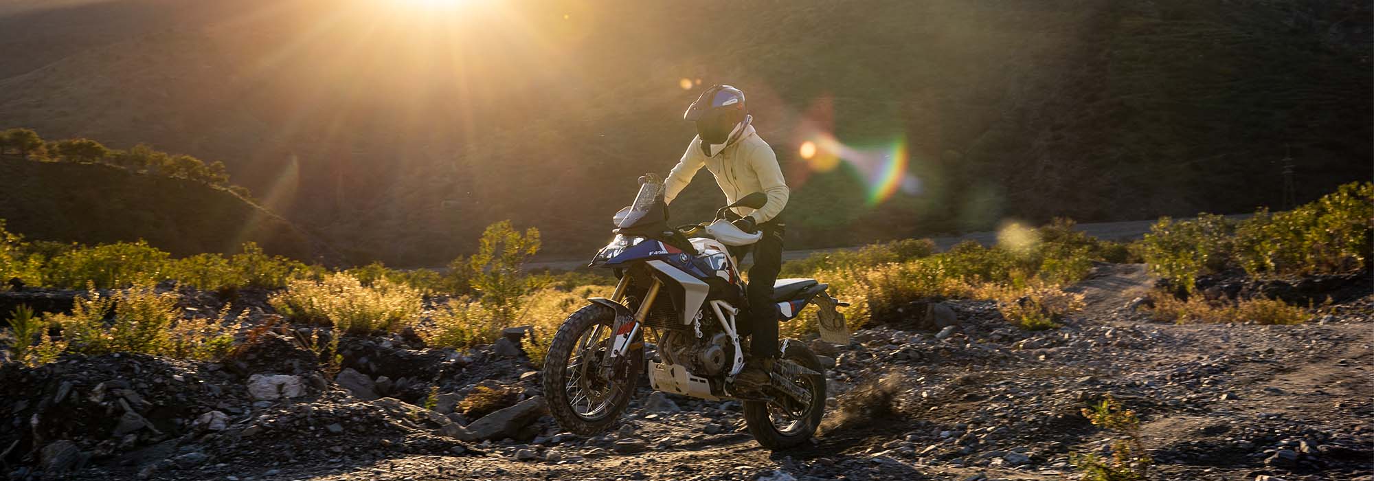 BMW Motorrad F 450 GS